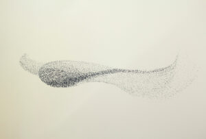 Vincent Sheridan - Murmuration