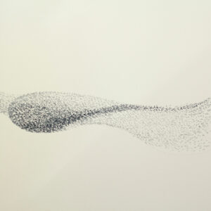 Vincent Sheridan - Murmuration