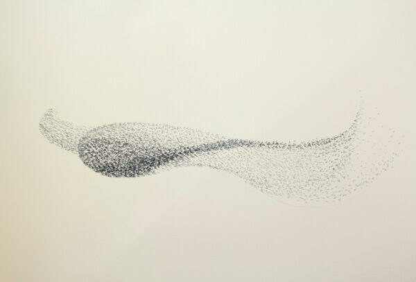 Vincent Sheridan - Murmuration